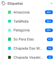Etiquetas de interesse do lead organizadas por categoria